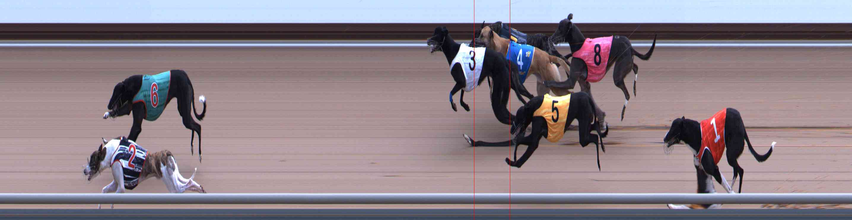 Photo finish for Healesville Race 10