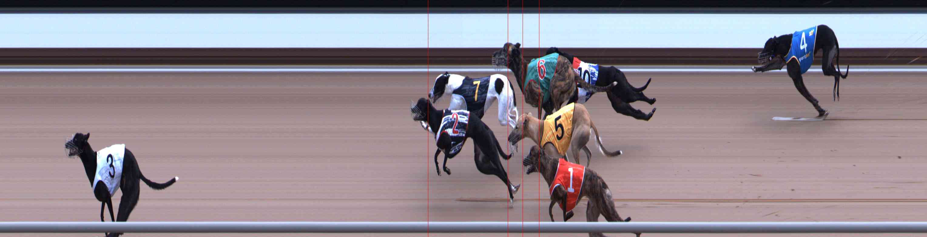 Photo finish for Healesville Race 11
