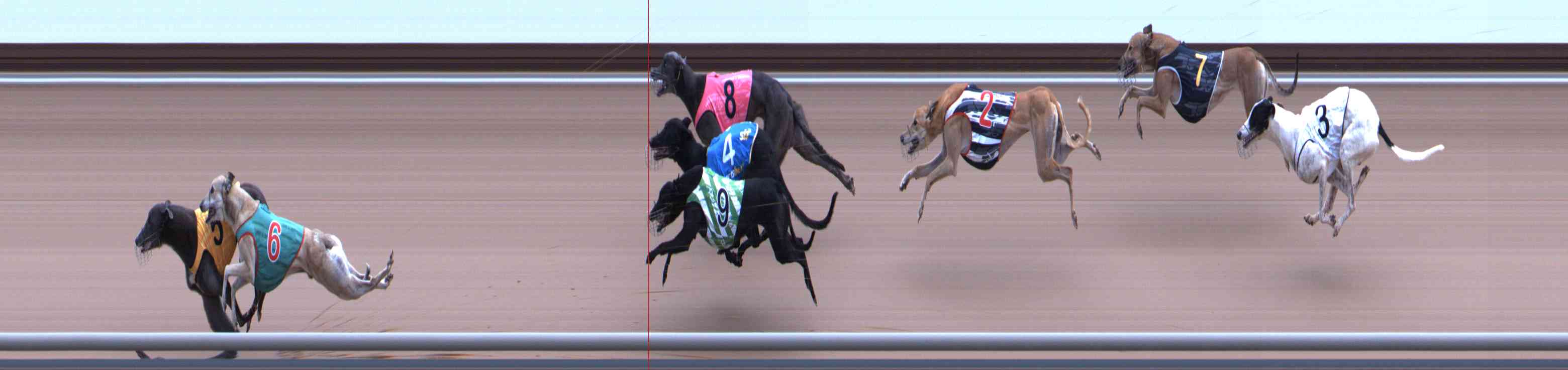Photo finish for Healesville Race 12