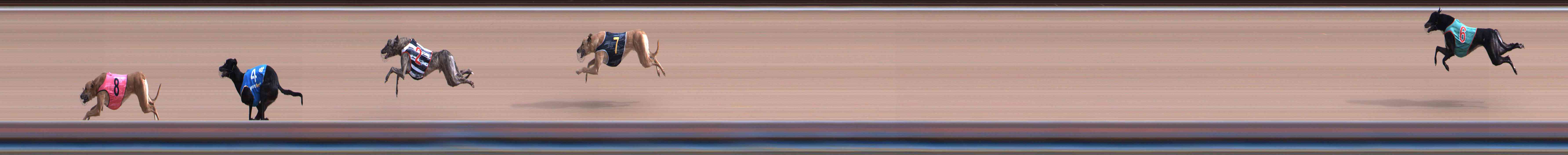 Photo finish for Healesville Race 1