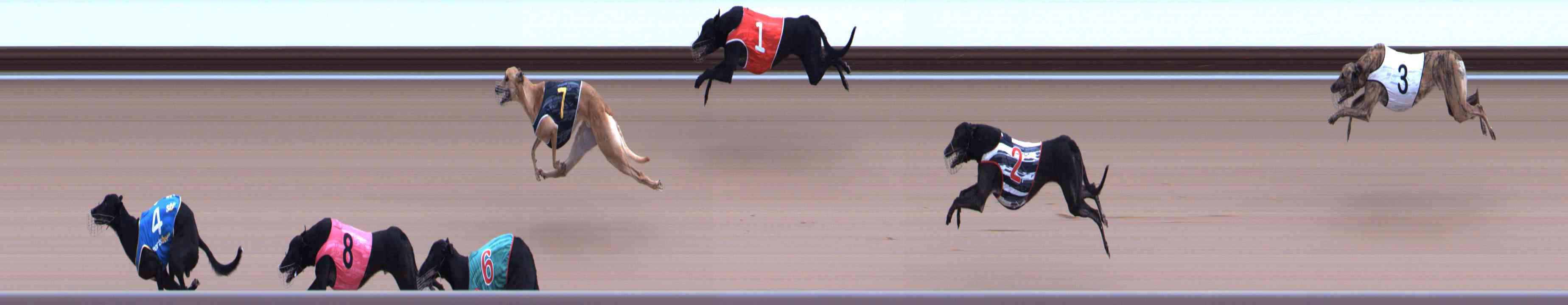 Photo finish for Healesville Race 2