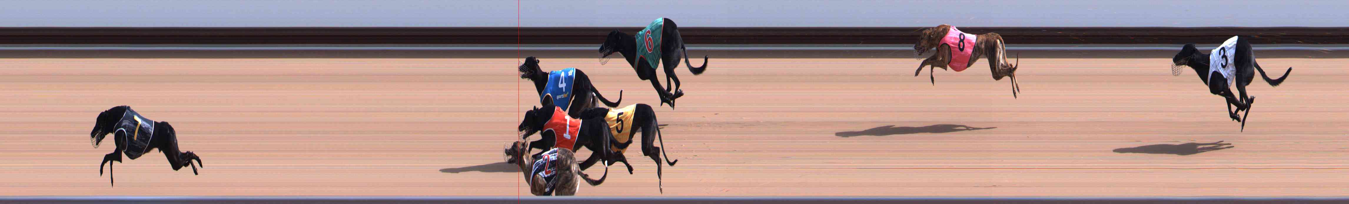 Photo finish for Healesville Race 4