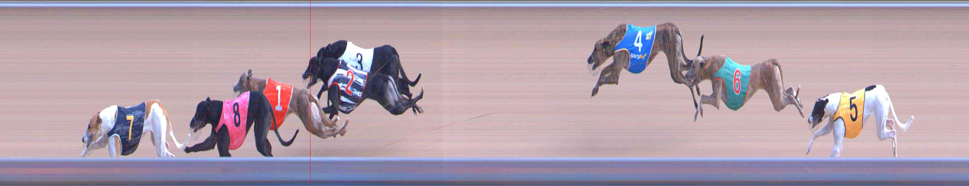 Photo finish for Healesville Race 5