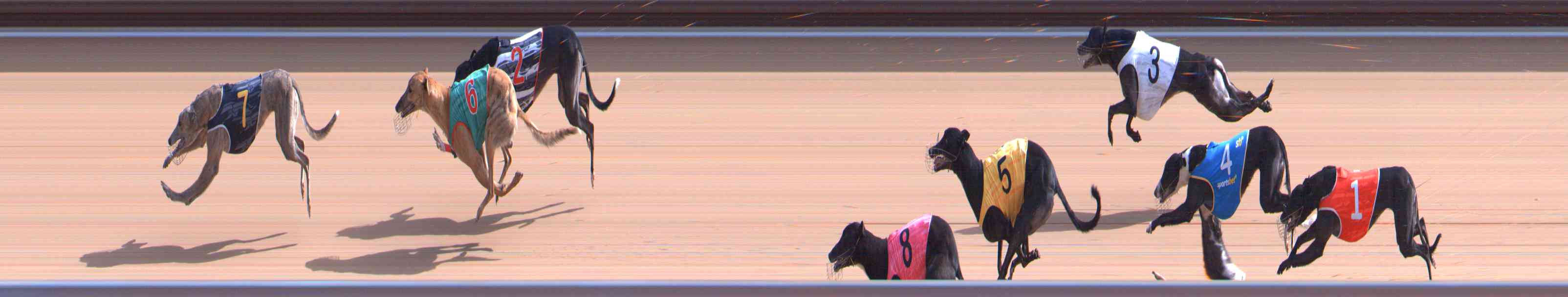 Photo finish for Healesville Race 6
