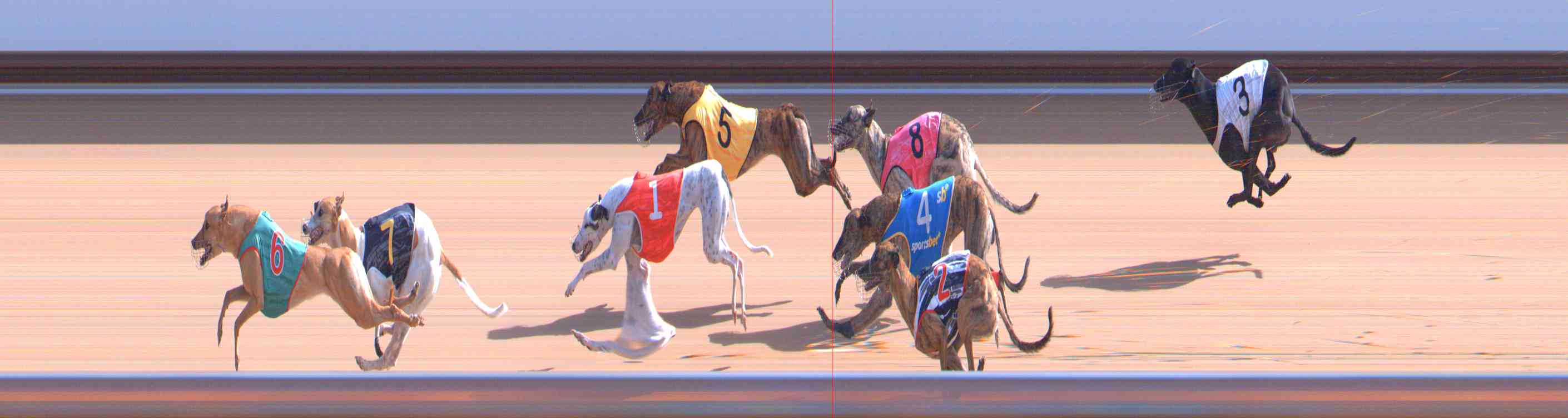 Photo finish for Healesville Race 7