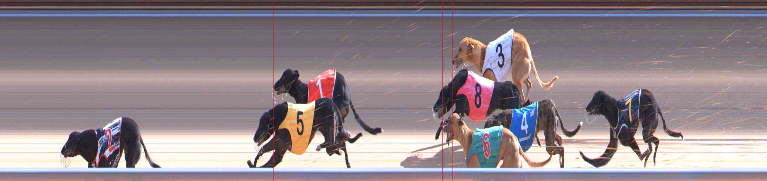 Photo finish for Healesville Race 9