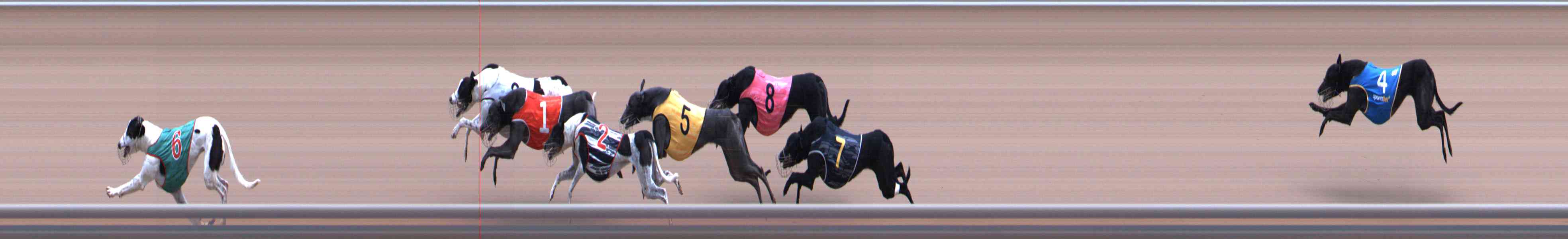 Photo finish for Healesville Race 10