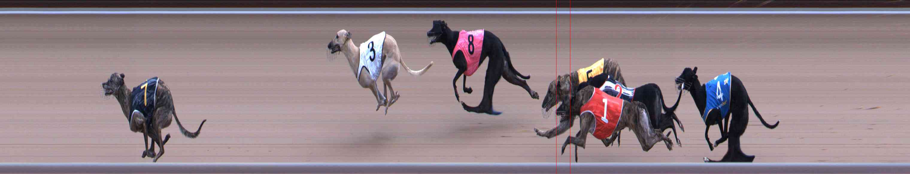 Photo finish for Healesville Race 11