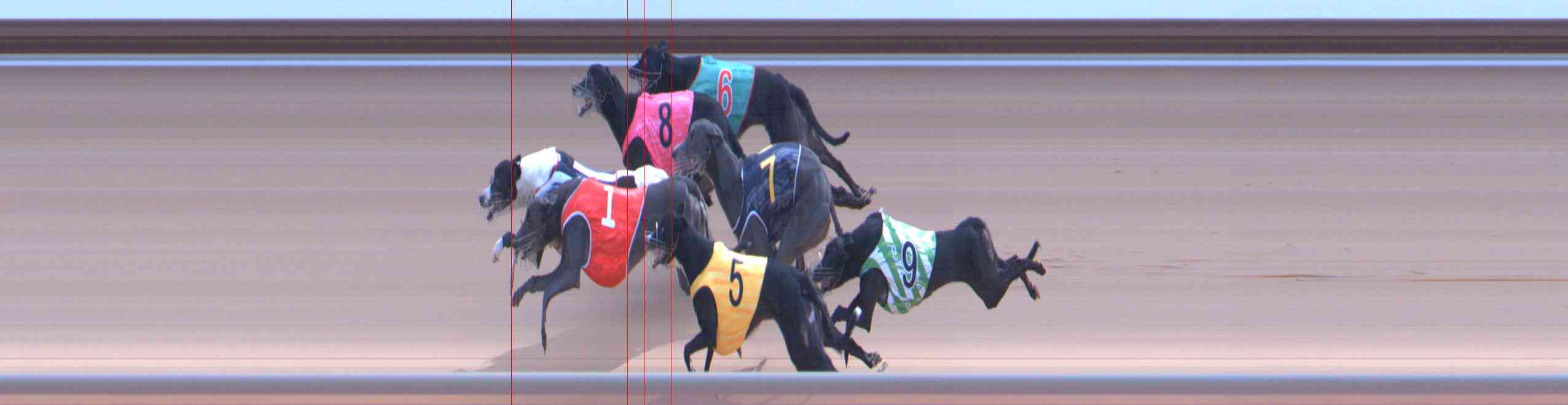 Photo finish for Healesville Race 12