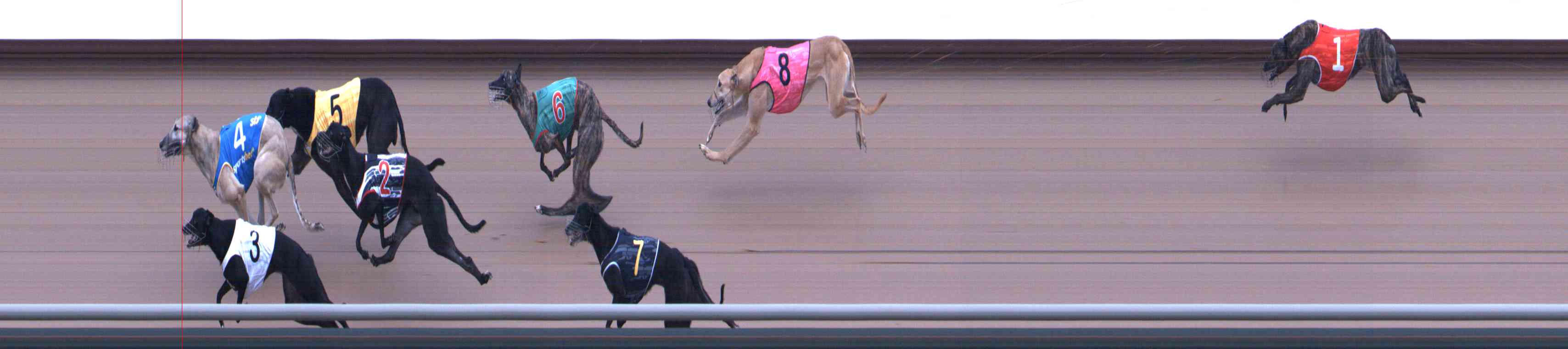 Photo finish for Healesville Race 2