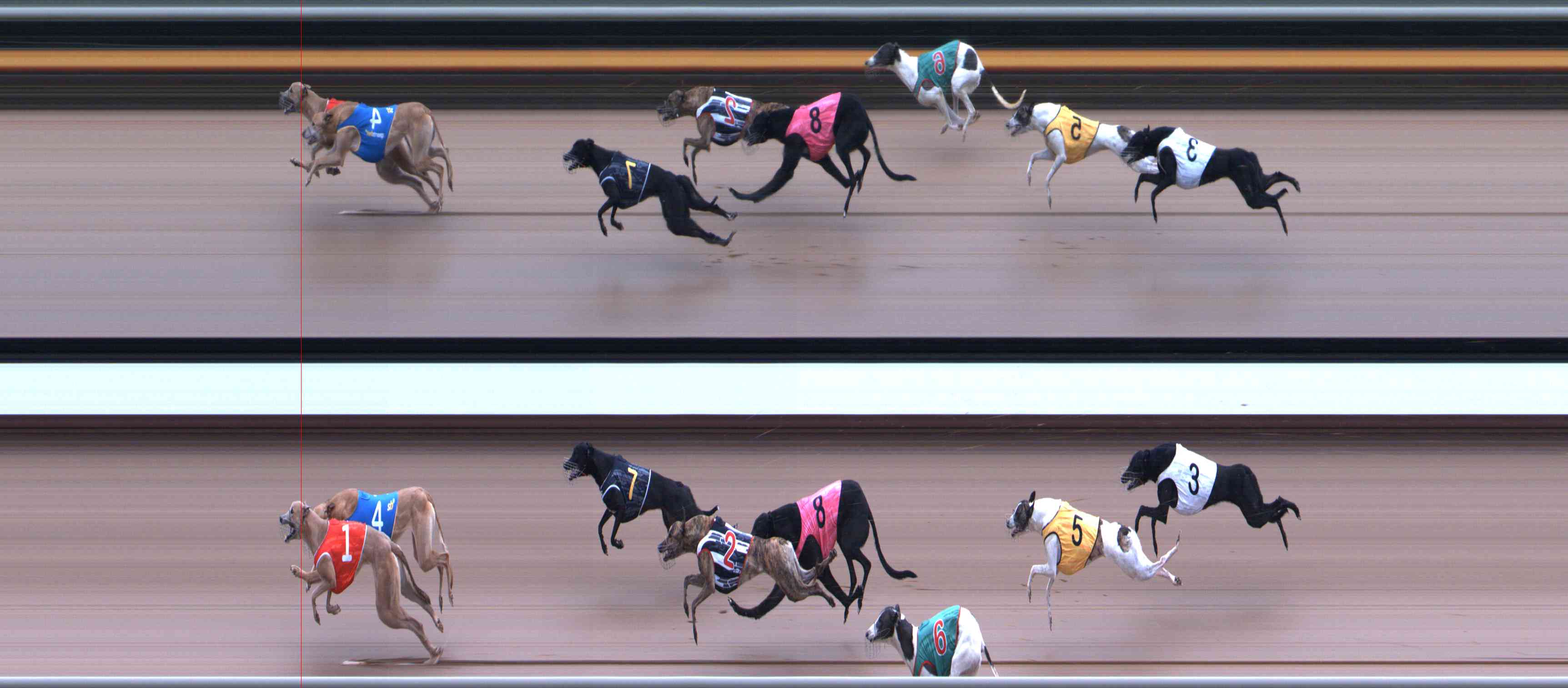 Photo finish for Healesville Race 3