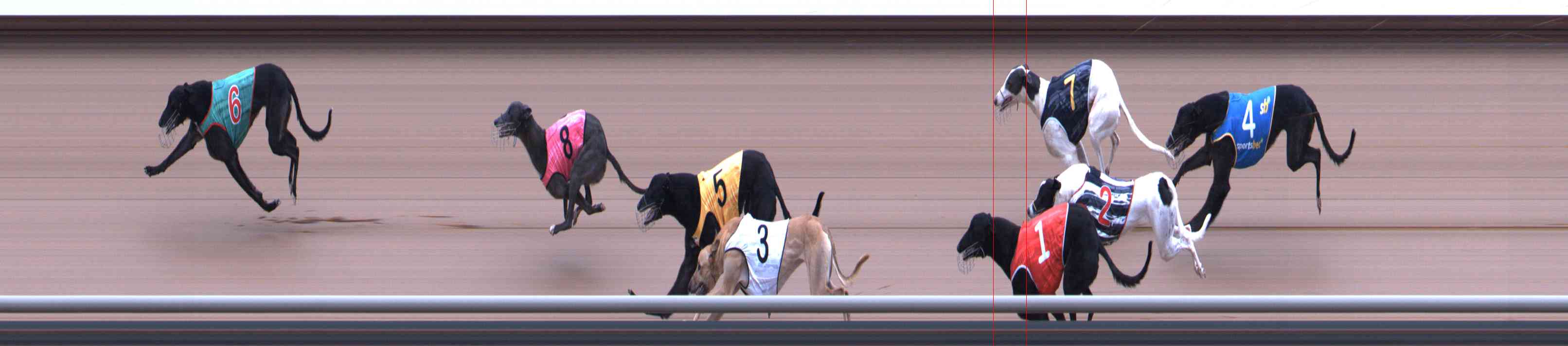 Photo finish for Healesville Race 4