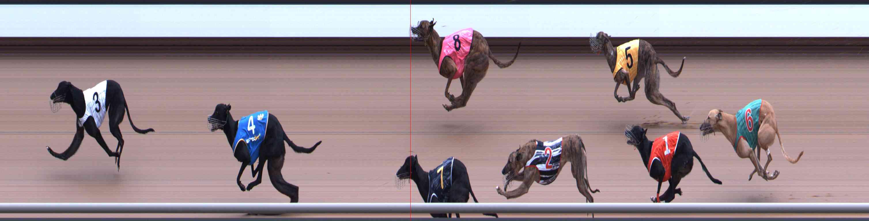 Photo finish for Healesville Race 5