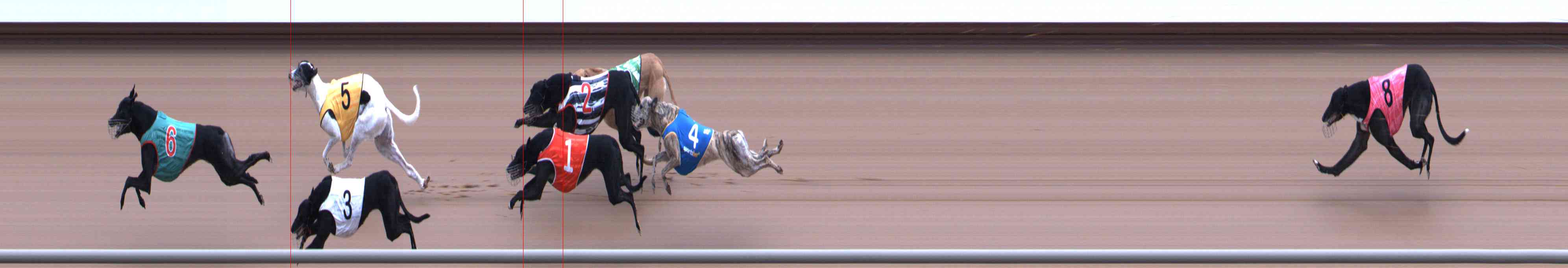 Photo finish for Healesville Race 6