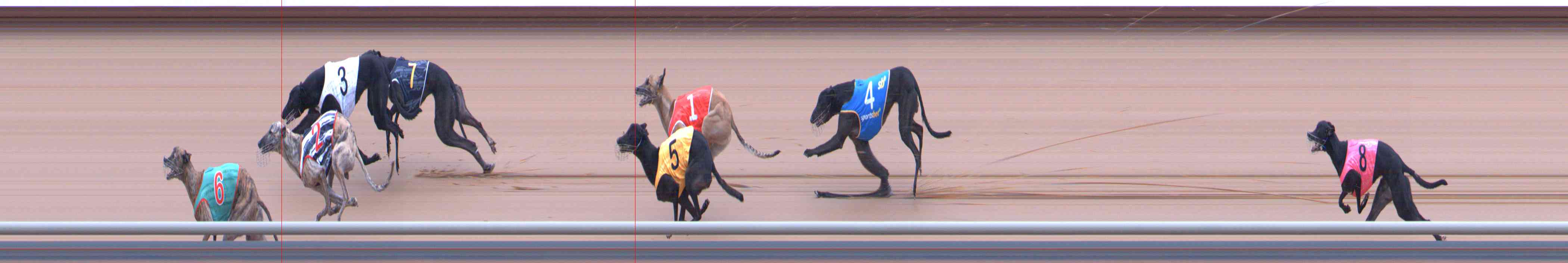 Photo finish for Healesville Race 7