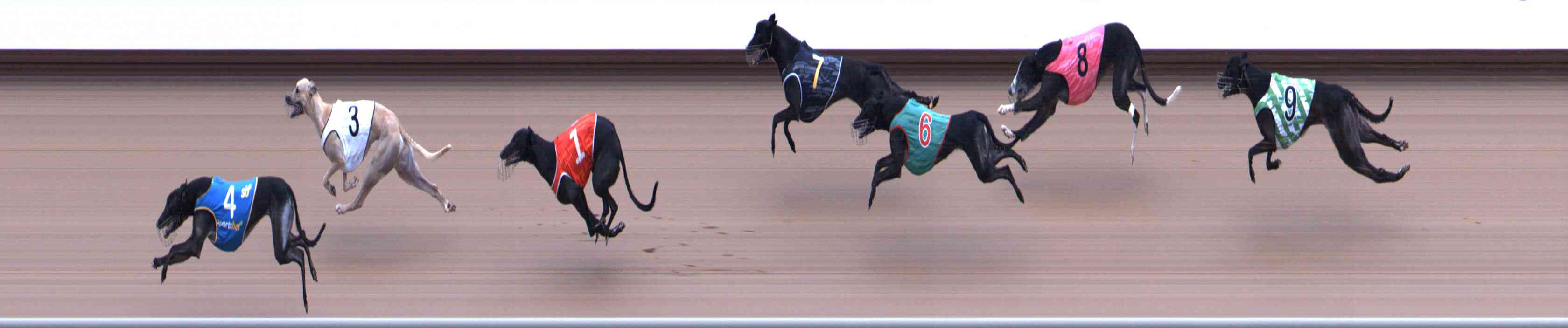 Photo finish for Healesville Race 8