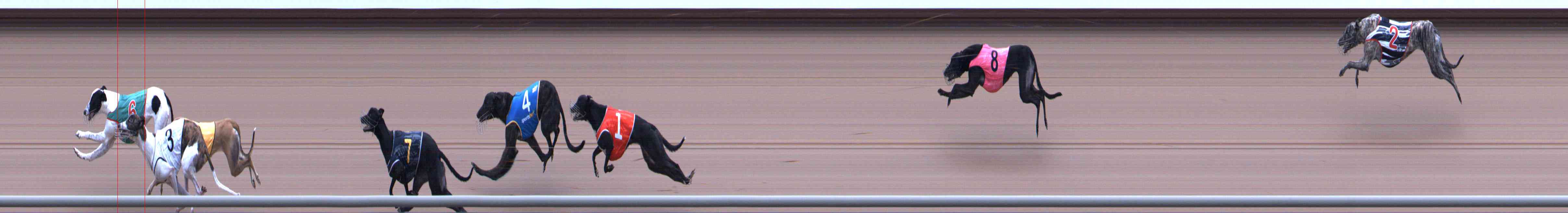 Photo finish for Healesville Race 9