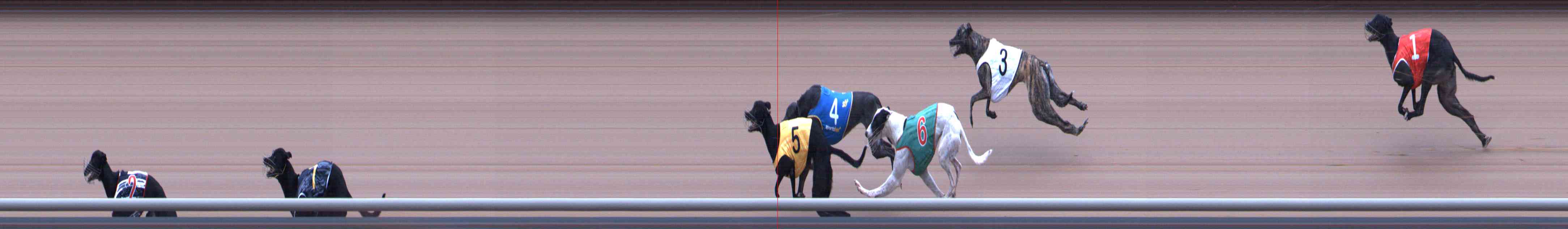 Photo finish for Healesville Race 10
