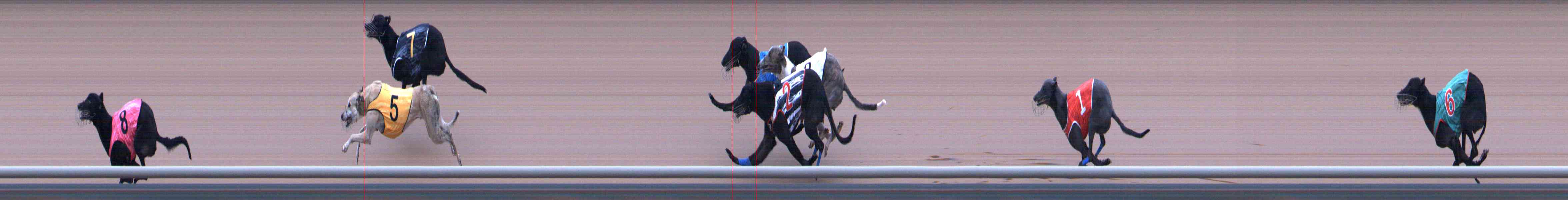 Photo finish for Healesville Race 11