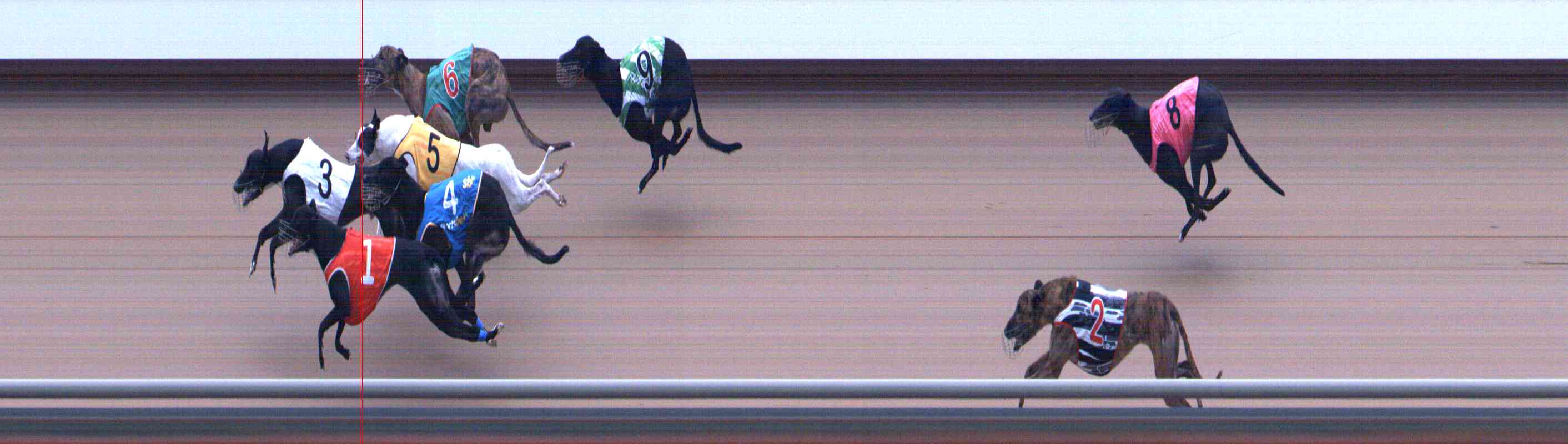 Photo finish for Healesville Race 12