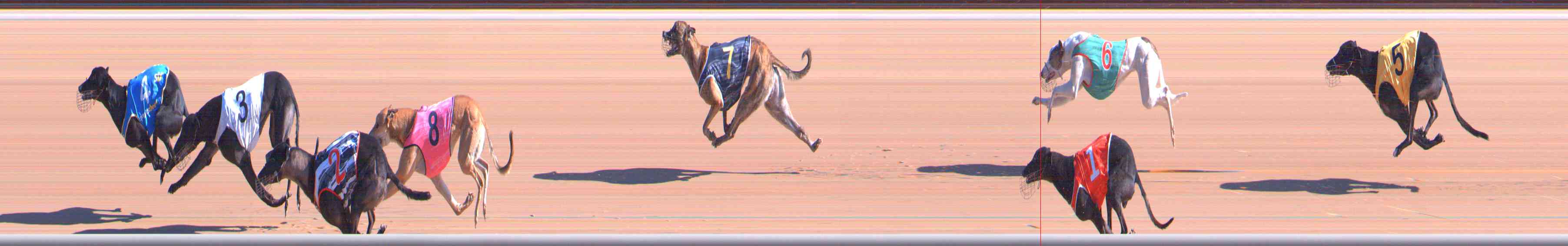 Photo finish for Healesville Race 2