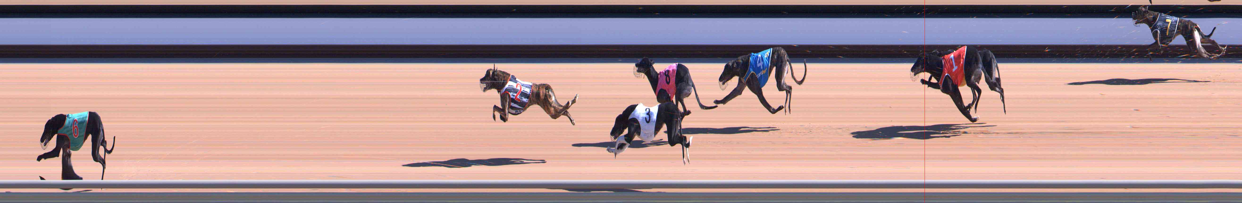 Photo finish for Healesville Race 3
