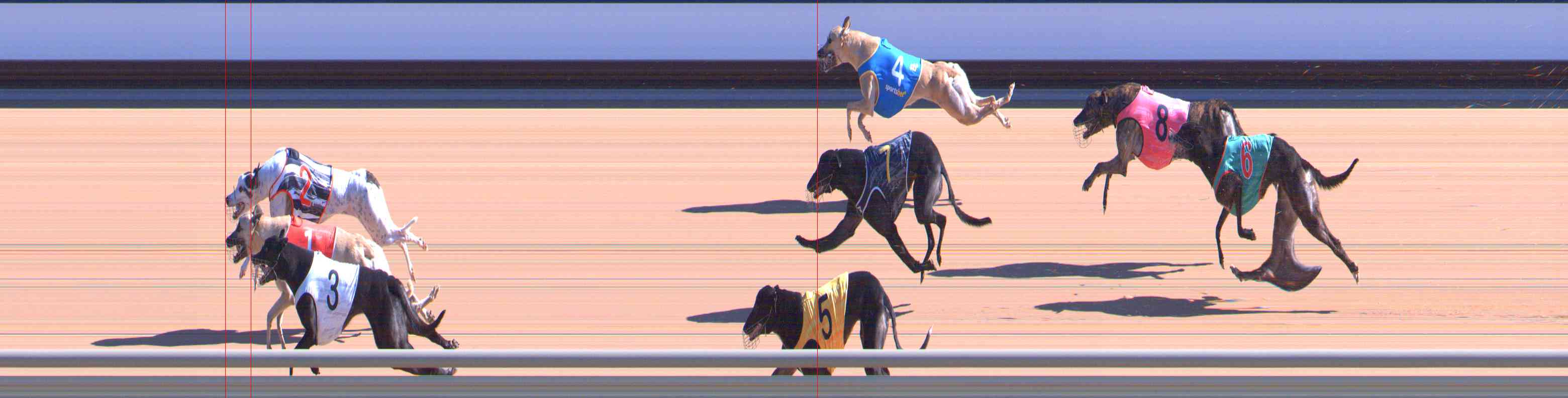Photo finish for Healesville Race 4