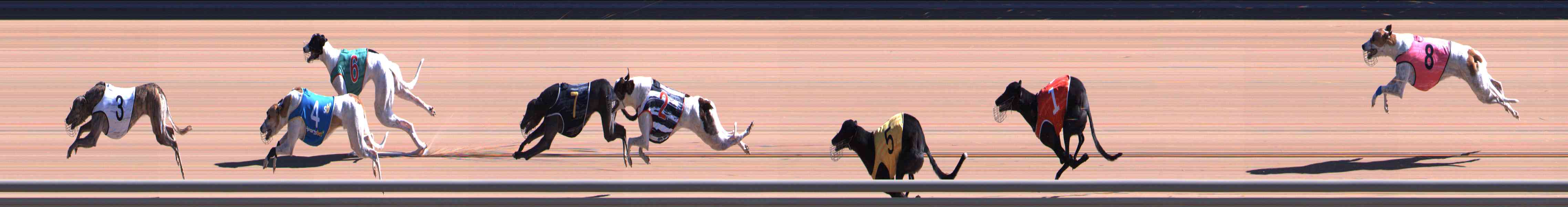 Photo finish for Healesville Race 5