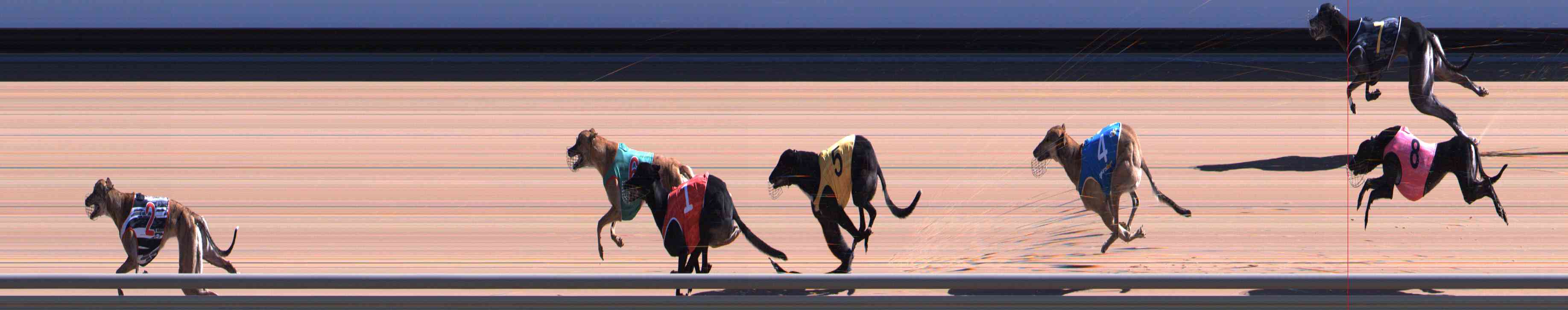 Photo finish for Healesville Race 6