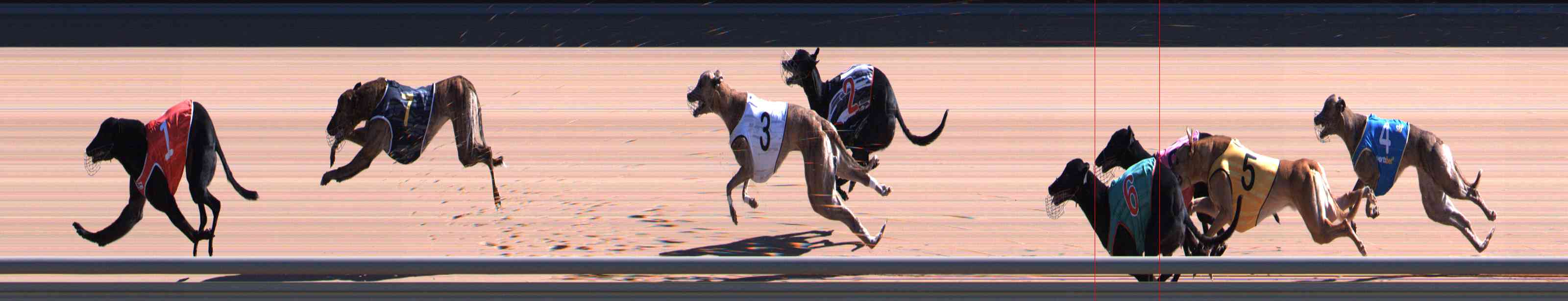 Photo finish for Healesville Race 7