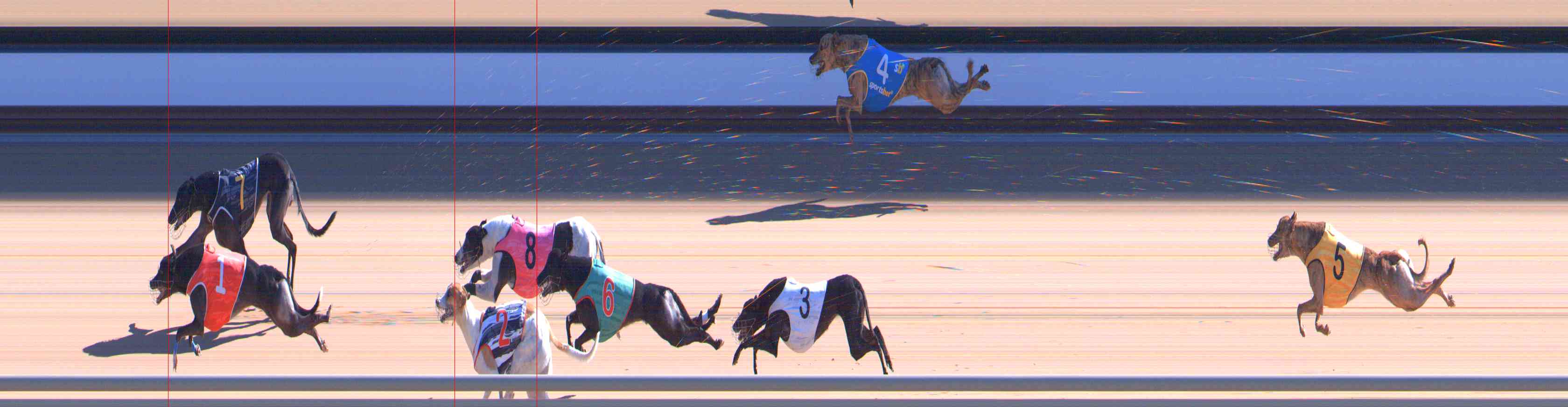 Photo finish for Healesville Race 9