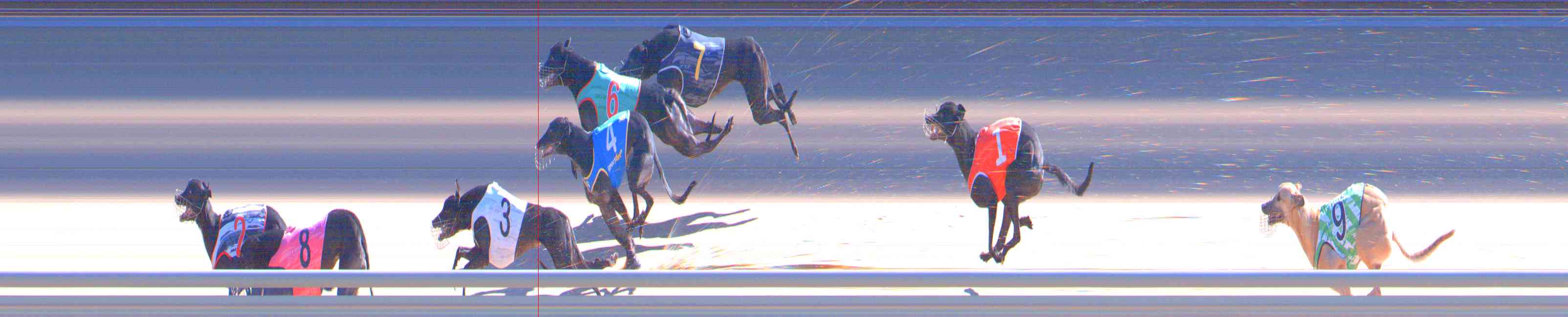 Photo finish for Healesville Race 10