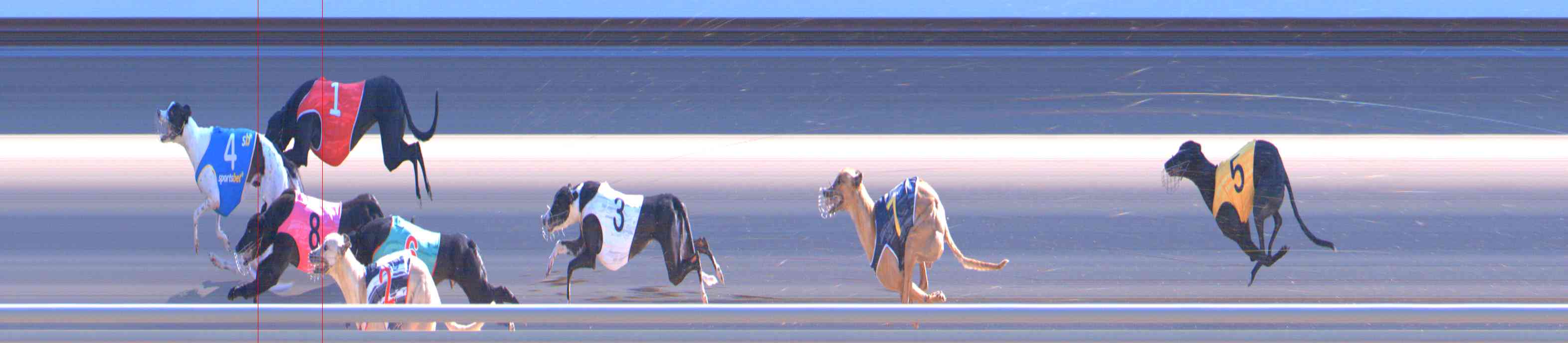 Photo finish for Healesville Race 11