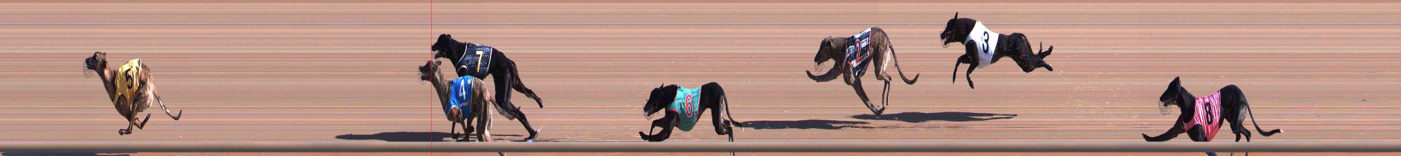 Photo finish for Healesville Race 1