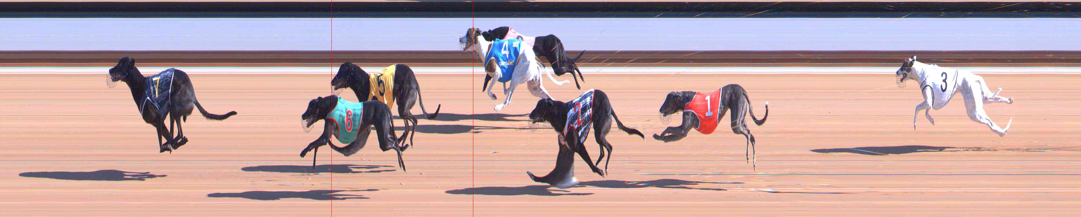 Photo finish for Healesville Race 2