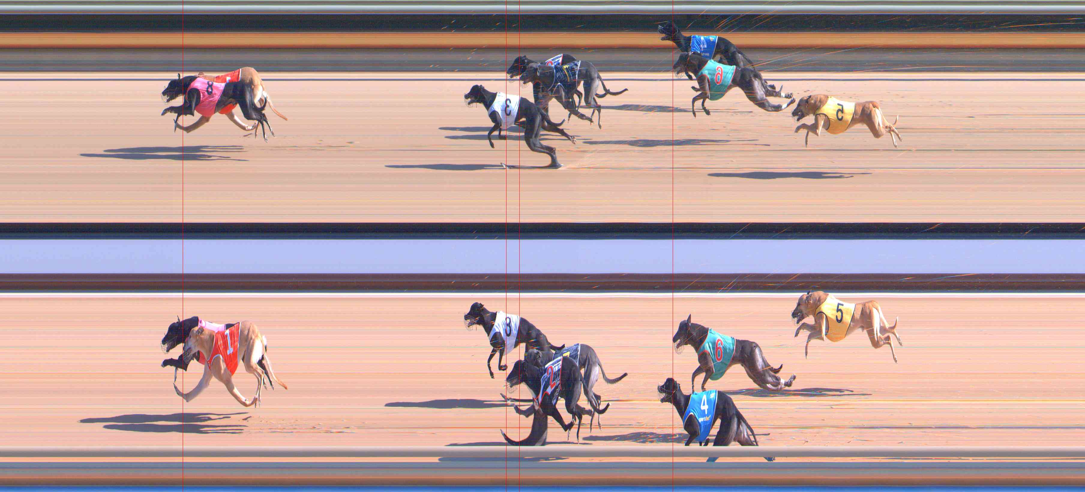 Photo finish for Healesville Race 3