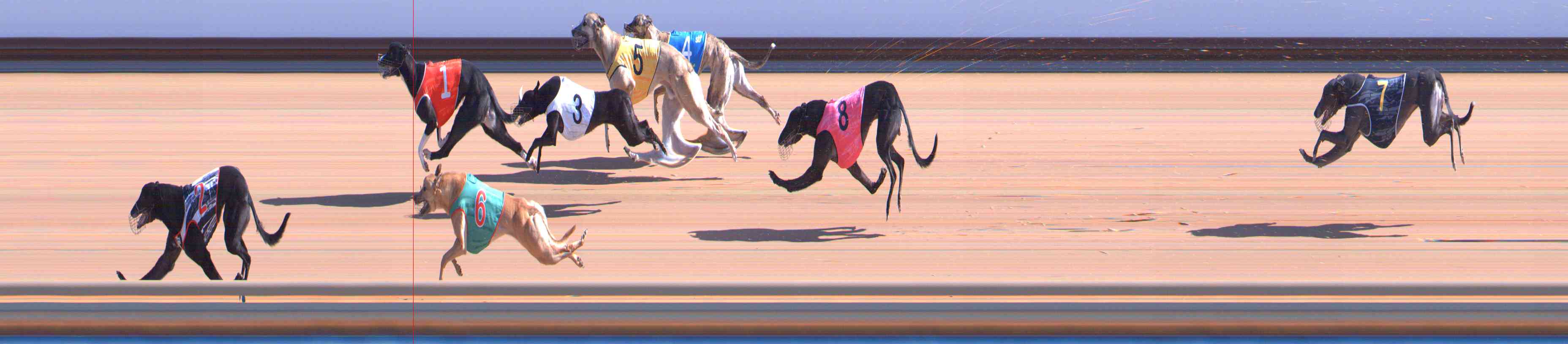 Photo finish for Healesville Race 4