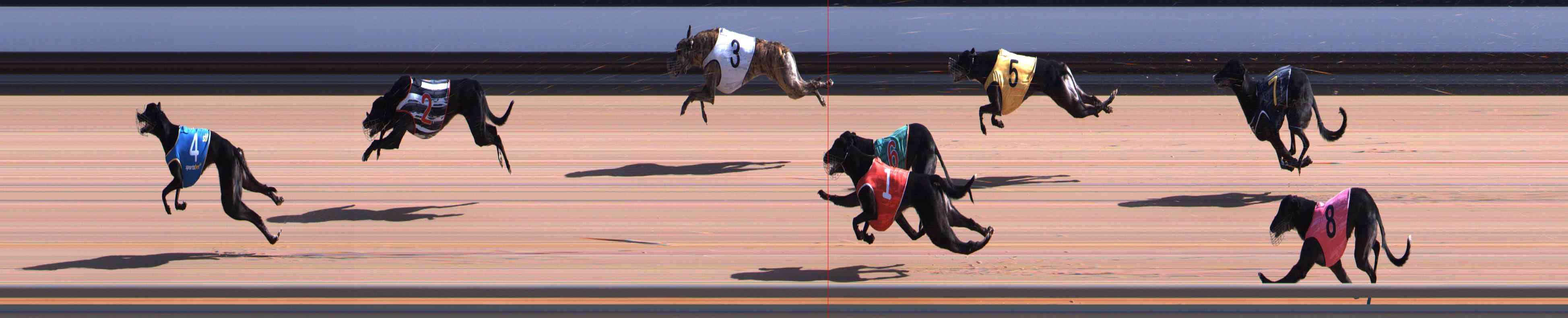 Photo finish for Healesville Race 5