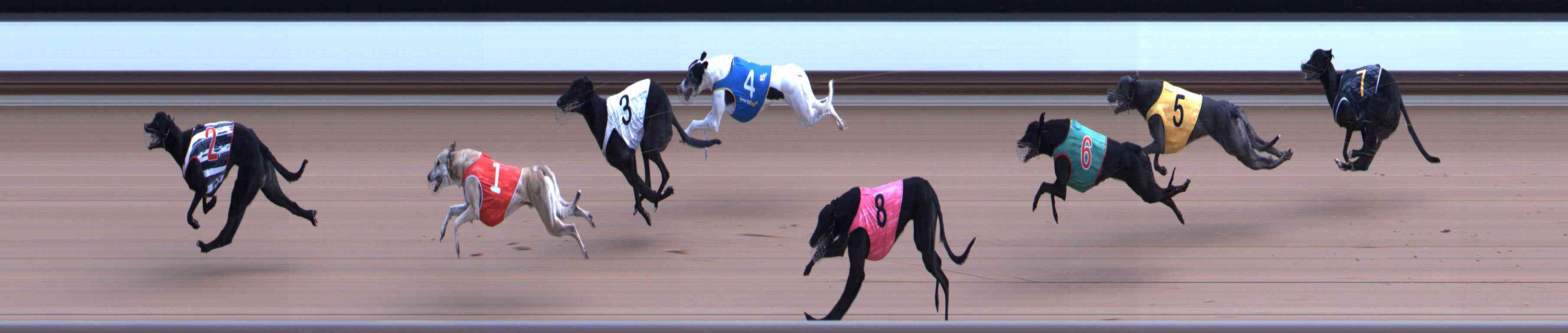 Photo finish for Healesville Race 6