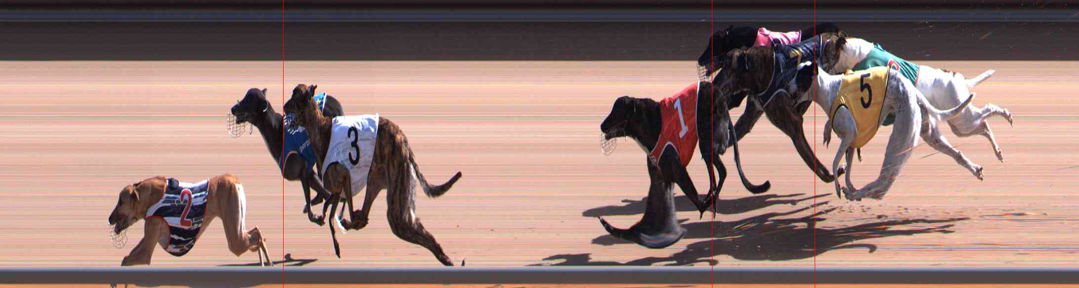 Photo finish for Healesville Race 7