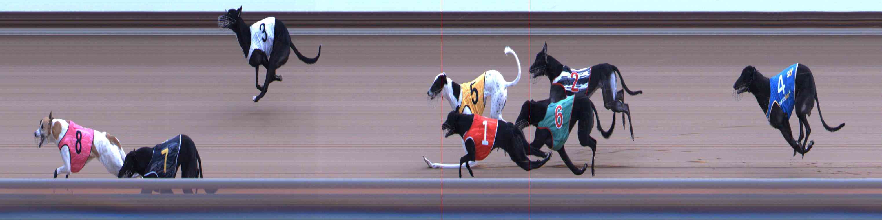 Photo finish for Healesville Race 8