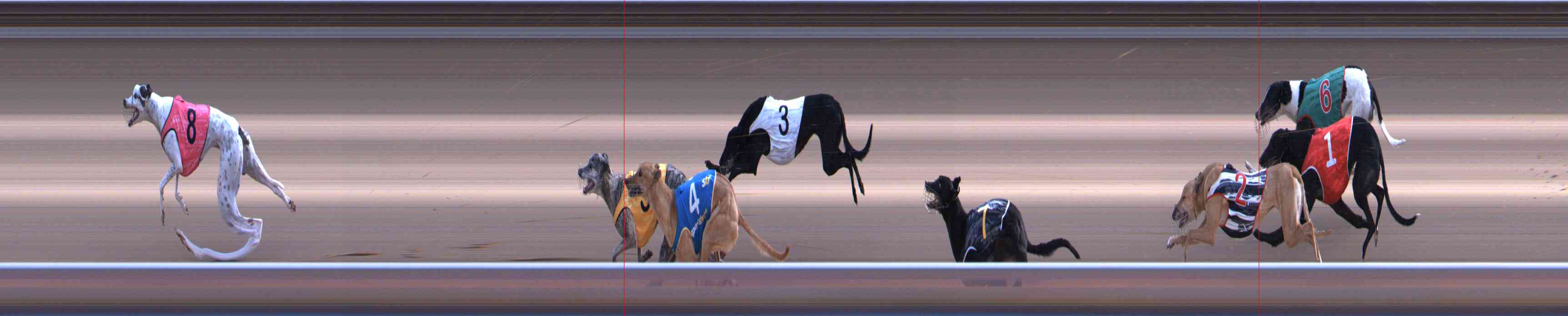 Photo finish for Healesville Race 10
