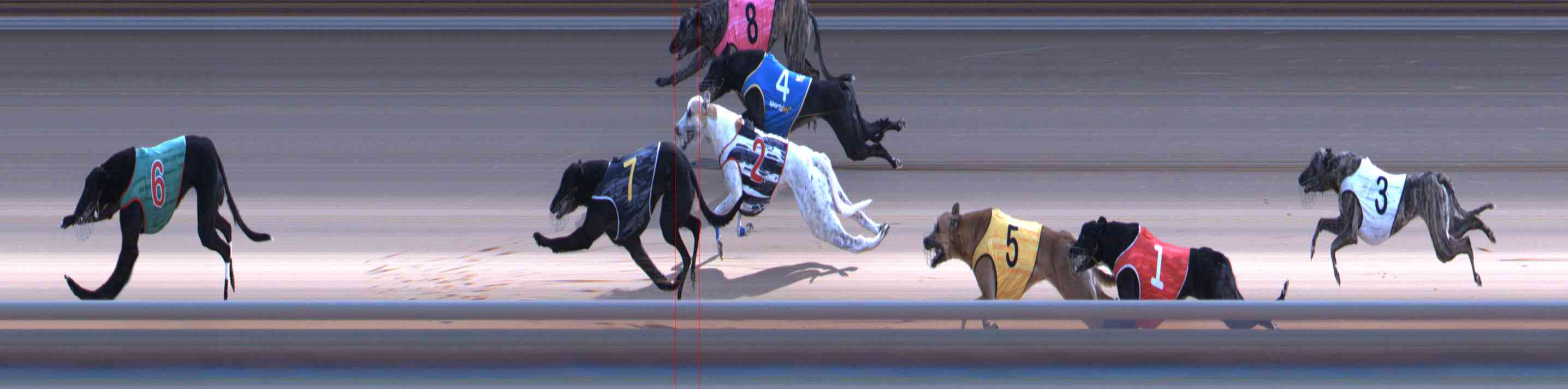 Photo finish for Healesville Race 11