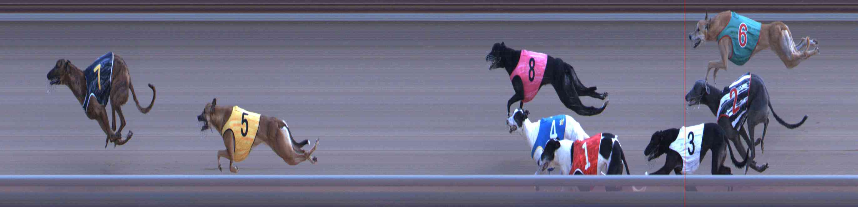 Photo finish for Healesville Race 12