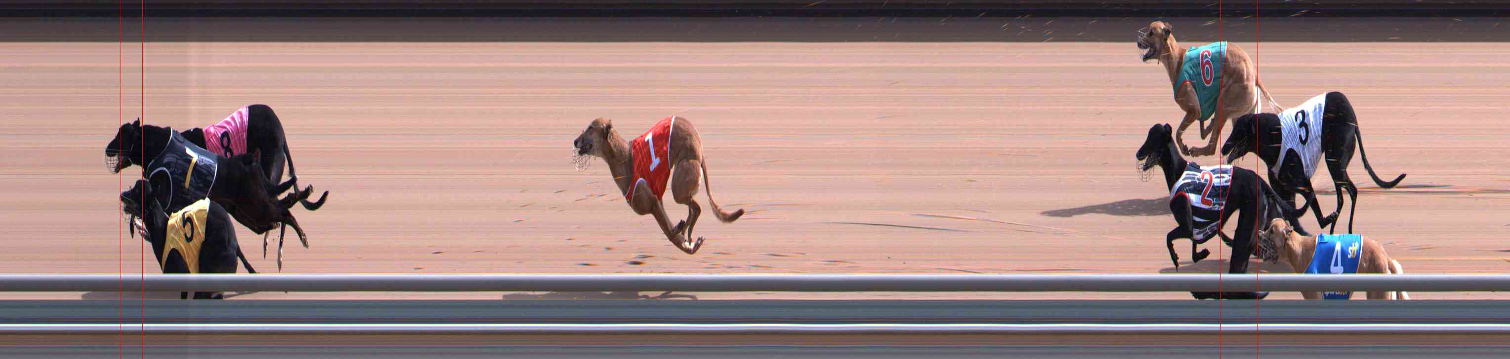 Photo finish for Healesville Race 6