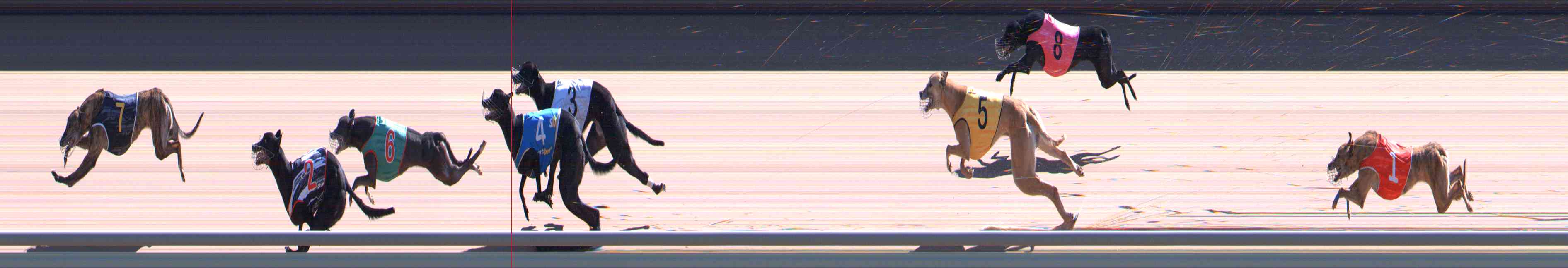 Race result finish photo