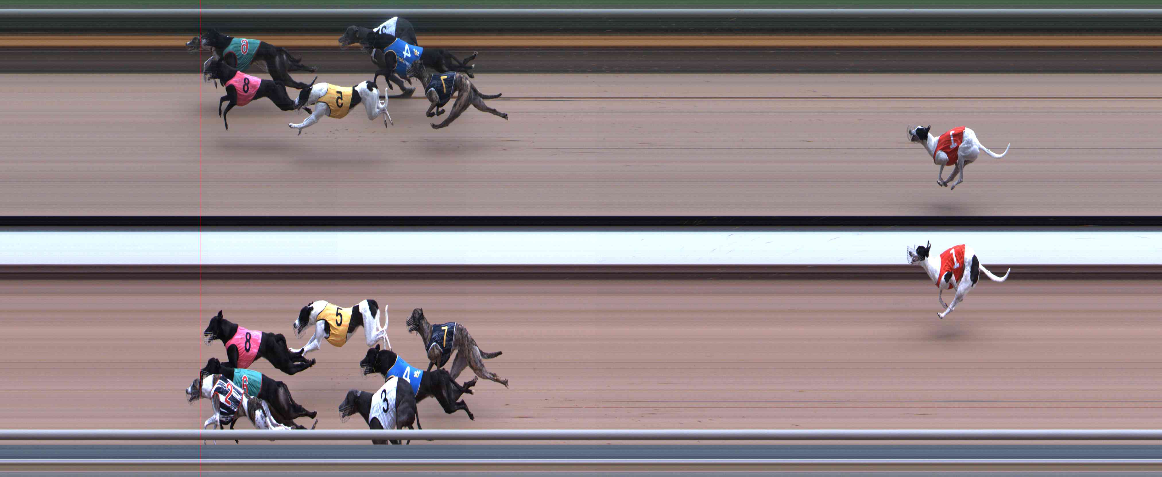 Photo finish for Healesville Race 2