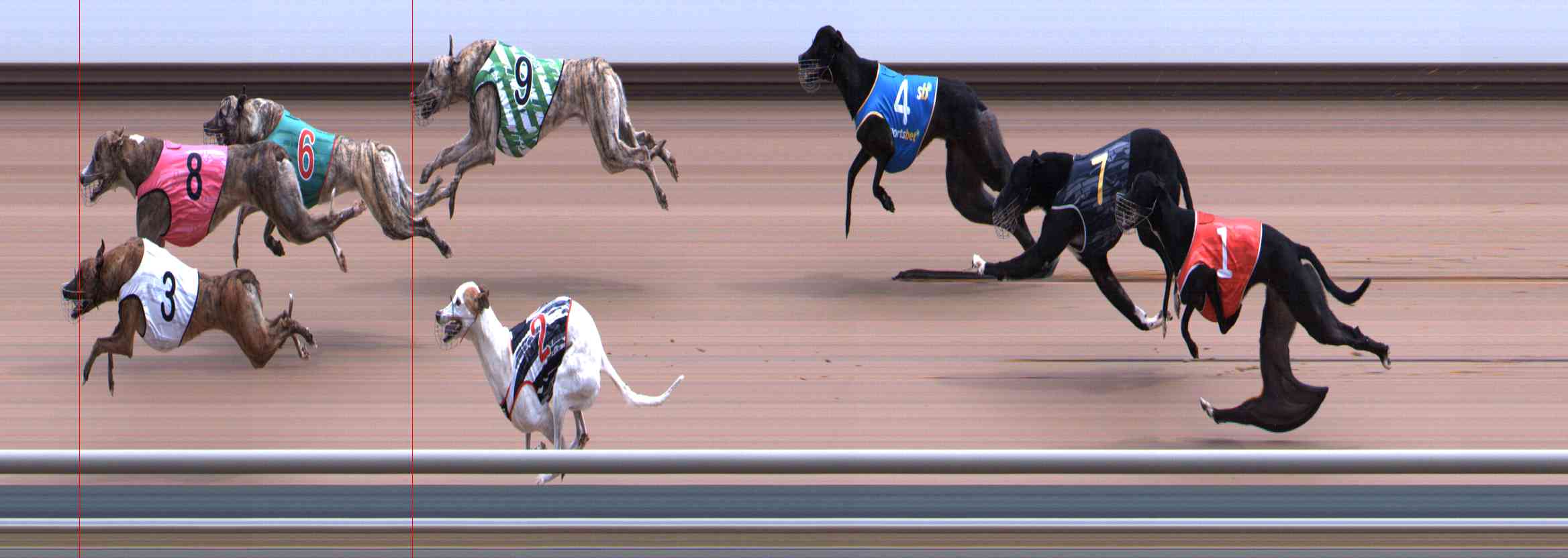 Photo finish for Healesville Race 3