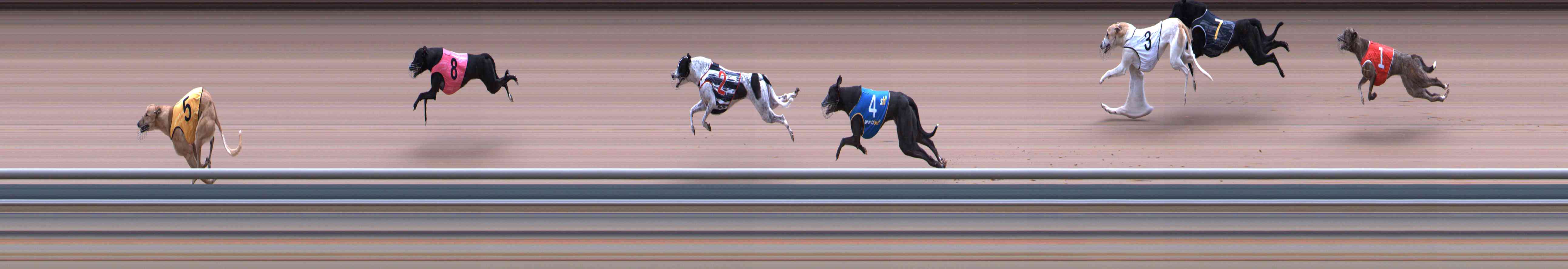 Photo finish for Healesville Race 4