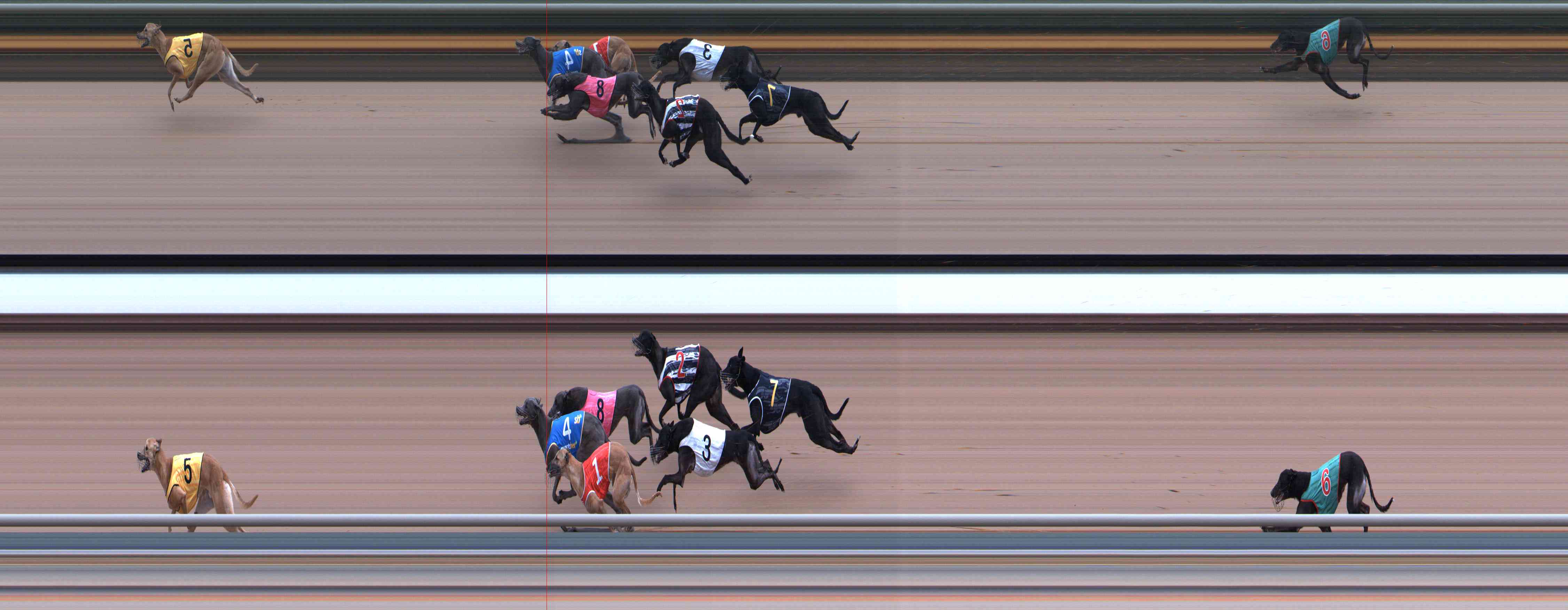 Photo finish for Healesville Race 5